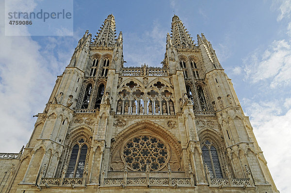 Gotische Kathedrale  Burgos  Provinz Kastilien Leon  Spanien  Europa
