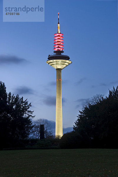 In Abendstimmung beleuchteter Europaturm  inoffiziell: Ginnheimer Spargel  Frankfurt am Main  Hessen  Deutschland  Europa