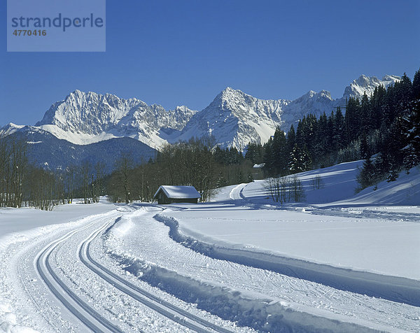 Karwendel von den Winterwiesen bei Klais  Bayern  Deutschland  Europa