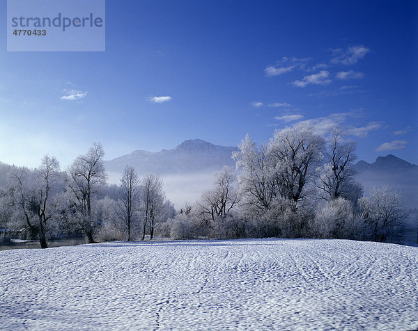 Kochelsee am Herzogstand  Oberbayern  Bayern  Deutschland  Europa