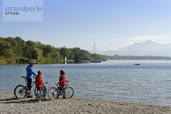 Radfahrer  Radtour am Chiemsee  bei Gstadt  Chiemgau  Oberbayern  Bayern  Deutschland  Europa