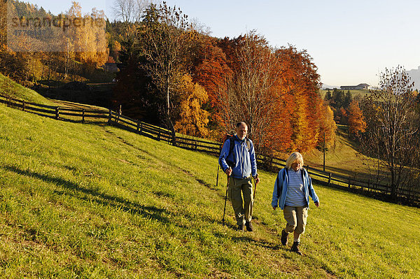 Wanderer bei Mölten Vöran  Burggrafenamt  Süddtirol  Italien  Europa