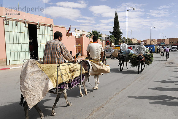 Verkäufer mit Eseln unterwegs zum Wochenmarkt  Rissani  Marokko  Afrika