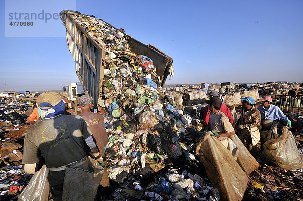 Menschen erwarten ein Müllauto  um dessen Ladung nach Wertstoffen zu durchwühlen  Müllkippe Lixao in der Satellitenstadt Estrutural bei Brasilia  Distrito Federal  Brasilien  Südamerika