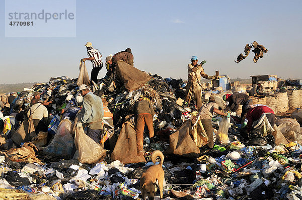 Menschen auf der Suche nach Wertstoffen auf der Müllkippe Lixao in der Satellitenstadt Estrutural bei Brasilia  Distrito Federal  Brasilien  Südamerika
