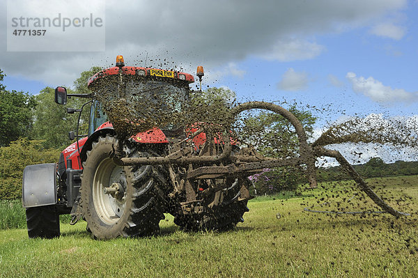 Traktor spritzt Gülle aus Schläuchen  Gülleausbringung auf Grünland  Clitheroe  Lancashire  England  Großbritannien  Europa