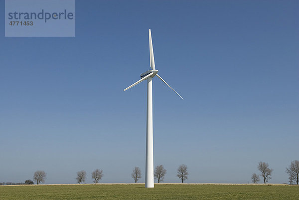 Windturbine  kahle Bäume in der Ferne  Somerton  Norfolk  England  Großbritannien  Europa