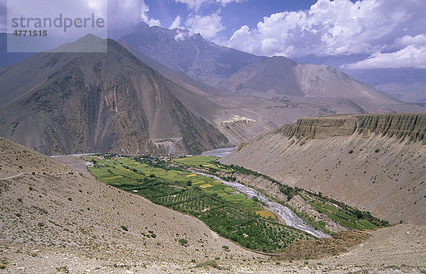 Grüne Kagbeni Oase inmitten der kargen Berge des Himalaya  Nepal  Südasien