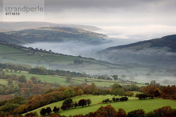 Die Black Mountains bei Sonnenaufgang  Herbst  Powys  Wales  Großbritannien  Europa
