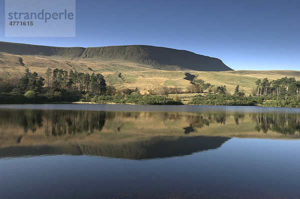 Der Berg Craig Fan Ddu spiegelt sich im Lower Neuadd Reservoir Stausee  Herbst  Brecon-Beacons-Nationalpark  Powys  Wales  Großbritannien  Europa