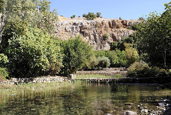 Quellen des Banias  hebräisch Hermon  eines der drei Quellflüsse des Jordans  Banias Nationalpark  Golanhöhen  Israel  Naher Osten  Vorderasien