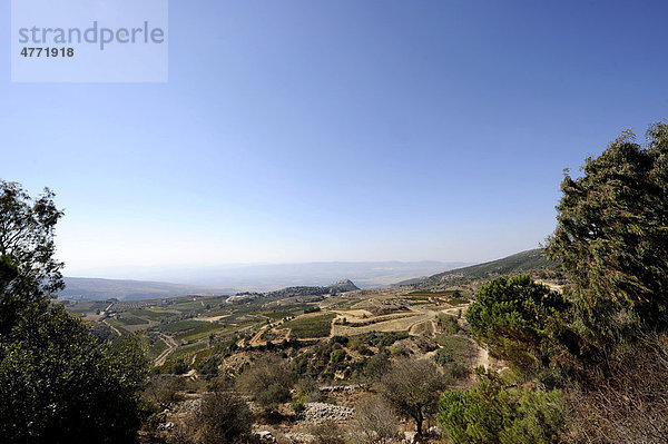 Golanhöhen  hinten in der Mitte die Festung Nimrod  arabisch Qala'at al-Subeiba  Hermongebirge  Israel  Naher Osten  Vorderasien