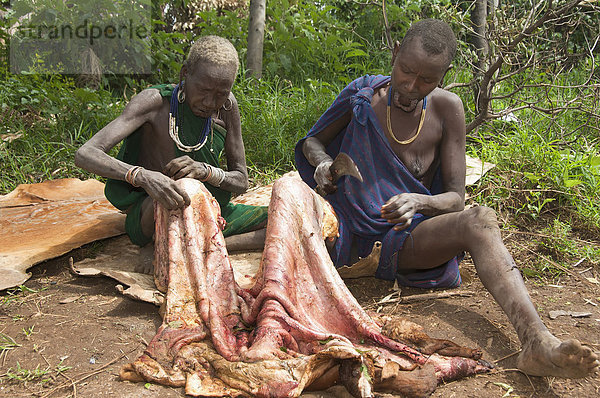Surma Frauen  ein Kuhfell vorbereitend  Kibish  Omo-Tal  Äthiopien  Afrika