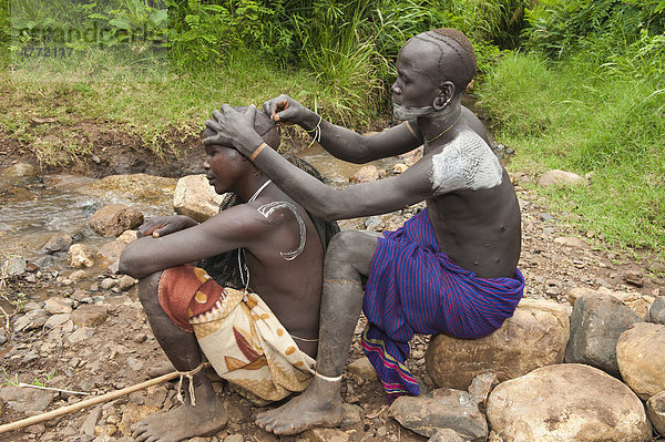 Surma Mann rasiert das Haar eines Freundes mit einer Rasierklinge  Surma-Volkes  Tulgit  Omo-Tal  Äthiopien  Afrika
