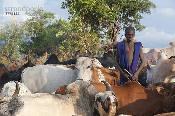 Surma Hirte mit Rinderherde in der Nähe von Tulgit  Omo-Tal  Äthiopien  Afrika