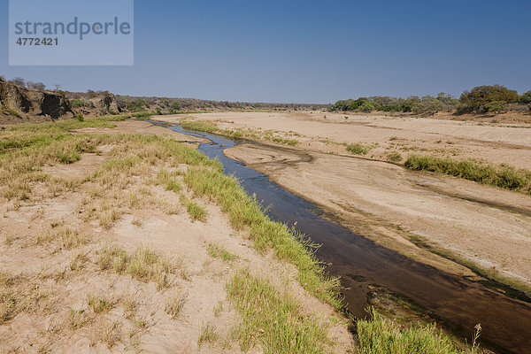 Letaba Fluss beim Letaba Camp  Krüger-Nationalpark  Südafrika  Afrika