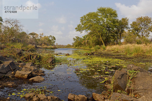 Machampane Fluss  Nationalpark Limpopo  Mosambik  Afrika