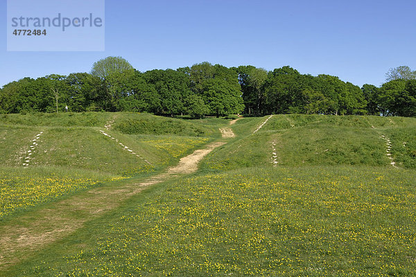 Badbury Rings  Ringwälle eines eisenzeitlichen Forts im Osten von Dorset  etwa 2200 Jahre alt  Südengland  England  Großbritannien  Europa