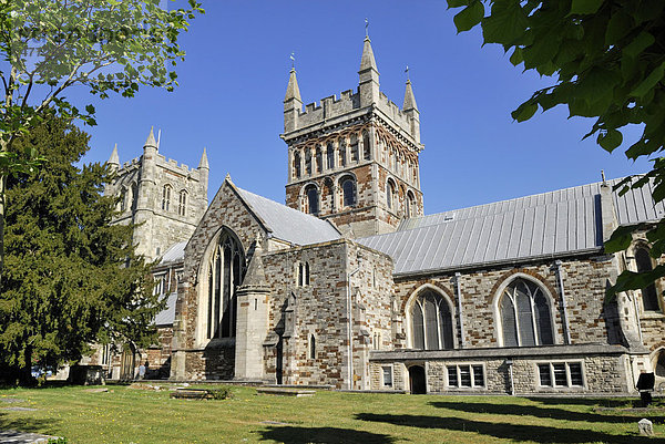 Kirche St. Cluthburga  Wimborne Minster  Dorset  Südengland  England  Großbritannien  Europa
