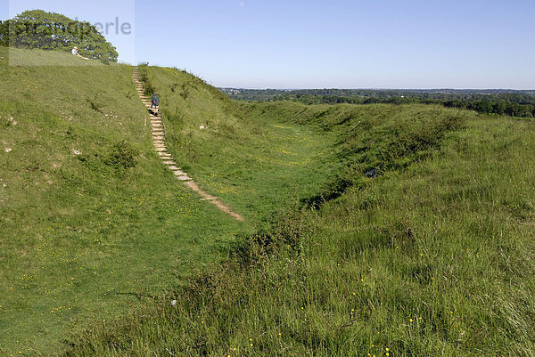 Badbury Rings  Ringwälle eines eisenzeitlichen Forts im Osten von Dorset  etwa 2200 Jahre alt  Südengland  England  Vereinigtes Königreich  Europa