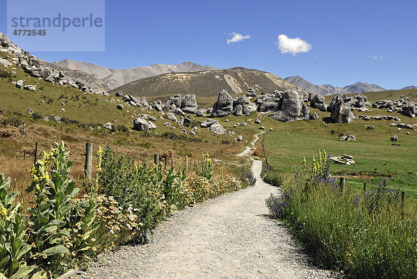 Wanderweg zu den Castle Hill Limestone Rocks  Kura Tawhiti Conservation Area  Selwyn District  Südinsel  Neuseeland