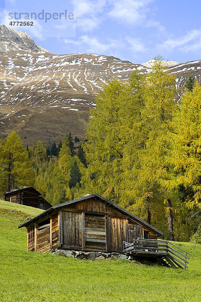 Alte Holzhütte  Herbstbäume im Gsieser Tal  St. Magdalena  Südtirol  Italien  Europa
