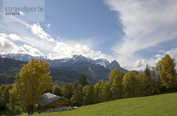 Herbst im Wettersteingebirge mit Zugspitze und Alpspitze  Garmisch  Oberbayern  Bayern  Deutschland  Europa