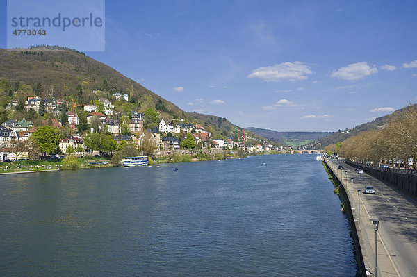 Neckar mit dem Stadtteil Neuenheim  Heidelberg  Kurpfalz  Baden-Württemberg  Deutschland  Europa