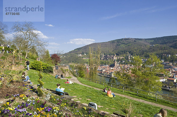 Stadtpanorama vom Philosophenweg  Heidelberg  Neckar  Kurpfalz  Baden-Württemberg  Deutschland  Europa