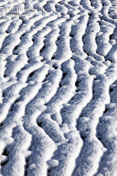 Winter im Nordsee Wattenmeer  gefrorenes Watt  Schnee  Eis  ostfriesische Nordseeinsel Spiekeroog  Niedersachsen  Deutschland  Europa