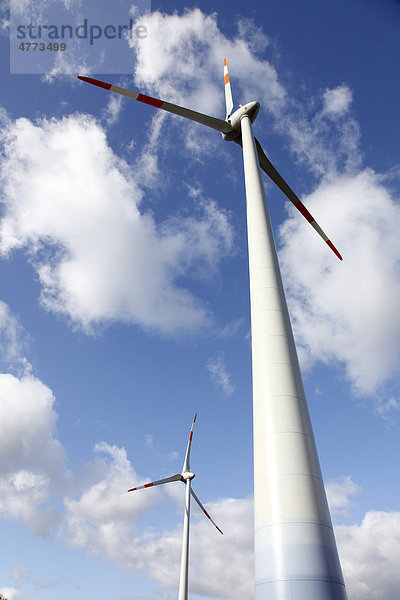 Windenergieanlage auf einer Bergehalde in Scholven  Gelsenkirchen  Nordrhein-Westfalen  Deutschland  Europa