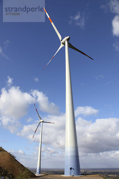Windenergieanlage auf einer Bergehalde in Scholven  Gelsenkirchen  Nordrhein-Westfalen  Deutschland  Europa