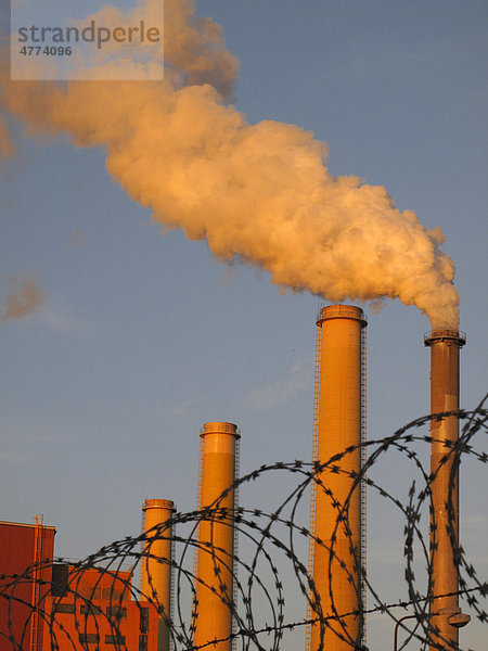 Umweltverschmutzung  Kohlekraftwerk  Tisova  Westböhmen  Tschechische Republik  Europa