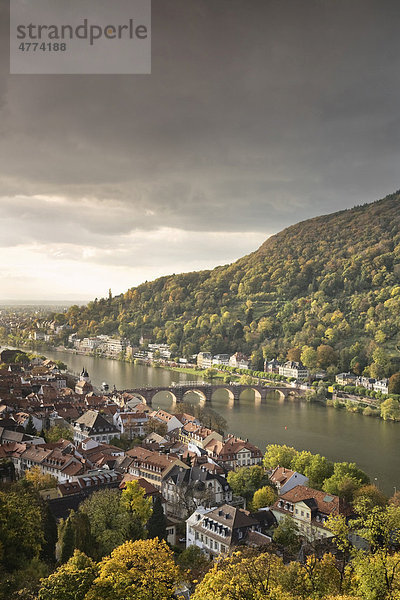 Blick auf die Altstadt von Heidelberg vom Schlosspark  Baden-Württemberg  Deutschland  Europa