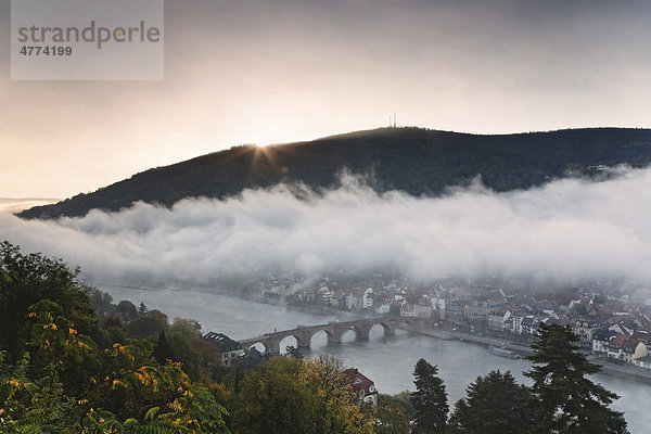 Ausblick vom Philosophenweg auf die Altstadt von Heidelberg  Baden-Württemberg  Deutschland  Europa