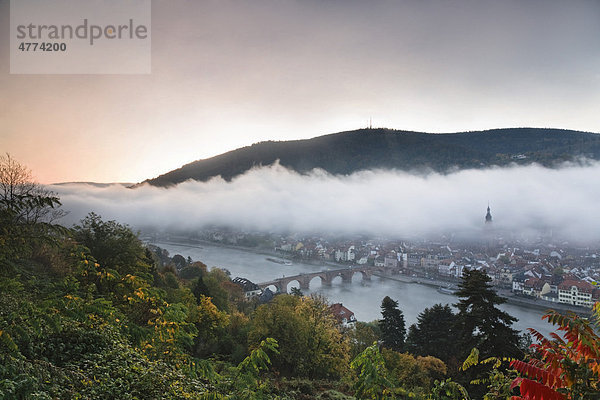 Ausblick vom Philosophenweg auf die Altstadt von Heidelberg  Baden-Württemberg  Deutschland  Europa