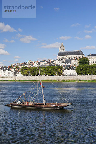 Stadtansicht von Blois mit Kathedral  Departement Loir et Cher  Frankreich  Europa