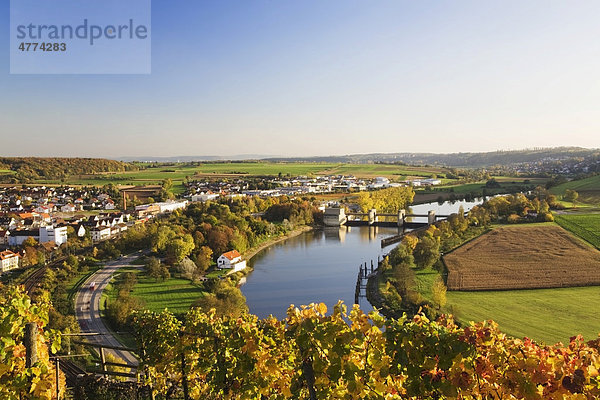 Blick von den Weinbergen über Gundelsheim auf den Neckar  Baden-Württemberg  Deutschland  Europa