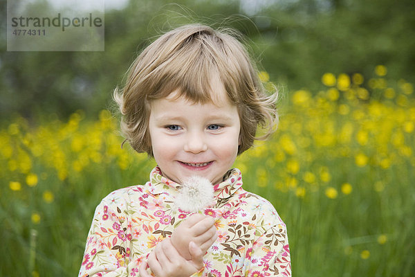 Mädchen erfreut sich an einer Pusteblume  Porträt
