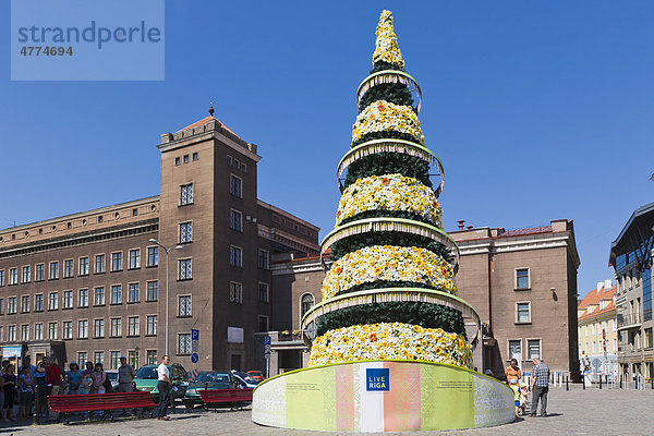 500. Jubiläums-Weihnachtsbaum vor der Technischen Universität Riga  RTU  Rigas Tehniska Universitate  Kalku iela  Altstadt  Vecriga  Riga  Lettland  Nordeuropa