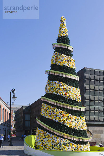 500.Jubiläums-Weihnachtsbaum  Ratslaukums Platz  Vecriga  Altstadt  Riga  Lettland  Nordeuropa
