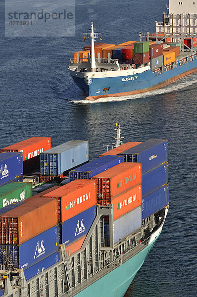 Begegnung zweier Containerschiffe auf dem Nord-Ostsee-Kanal  Kiel  Schleswig-Holstein  Deutschland  Europa