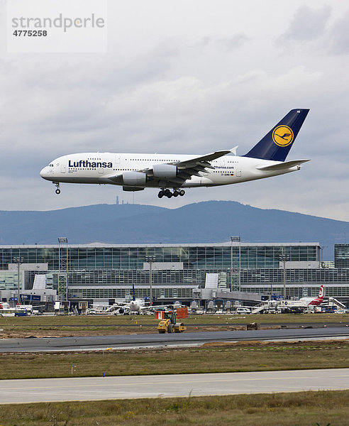 Airbus A 380 der Lufthansa im Landeanflug auf Frankfurt  Hessen  Deutschland  Europa