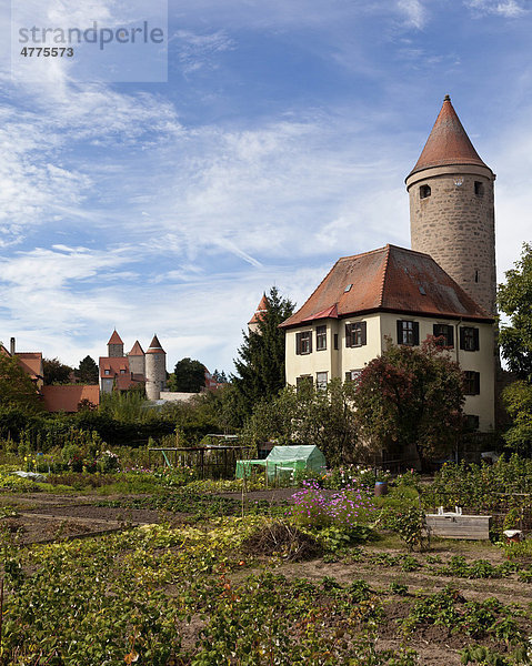 Blick auf die Altstadt mit dem Hertelsturm und Krugsturm  Dinkelsbühl  Landkreis Ansbach  Mittelfranken  Bayern  Deutschland  Europa