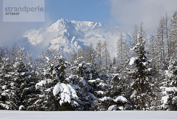 Hoher Berg hinter schneebedeckten Bäumen mit Nebelschwaden  Werfenweng  Salzburg  Österreich  Europa