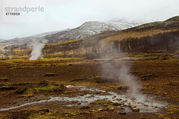 Dampfende warme Quellen im Winter mit Berg  Strokkur  Island  Europa