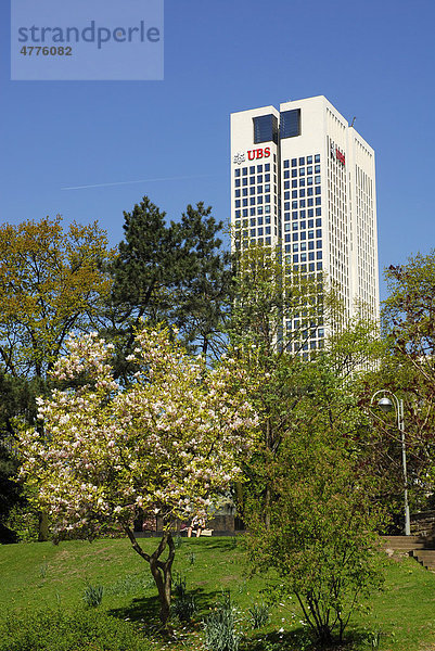 UBS Deutschland AG  ein Finanzinstitut im Opernturm  Architekt Prof. Christoph Mäckler  Bäume im Park der Taunusanlage  Frankfurt am Main  Hessen  Deutschland  Europa