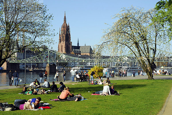 Leute am Mainufer  Schaumain Kai  Museumsufer  dahinter Eiserner Steg Hängebrücke und Dom  Frankfurt am Main  Hessen  Deutschland  Europa