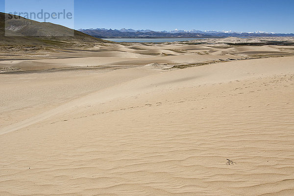 Sanddünen vor Yarlung Tsangpo  Brahmaputra  und Himalayahauptkamm mit Annapurna Bergmassiv  Westtibet  Provinz Ngari  Tibet  China  Asien