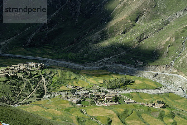 Terrassenanbau von Hochlandgerste beim Felsenkloster Drak Yerpa bei Lhasa mit tibetischem Dorf und Straße ins Kyichu-Tal  Tibet  China  Asien